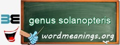 WordMeaning blackboard for genus solanopteris